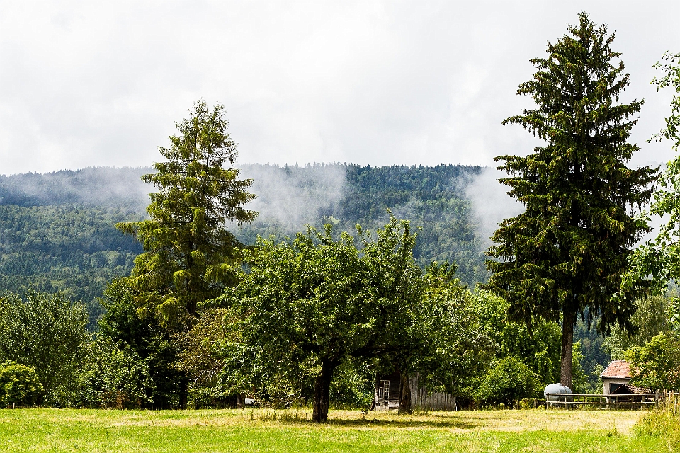 2014 juin GJDN Longirod -0102-Modifier