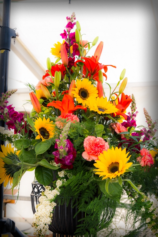 2014_25mai_LeLieu_84GMPJ_-0004